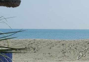 Clift 2*