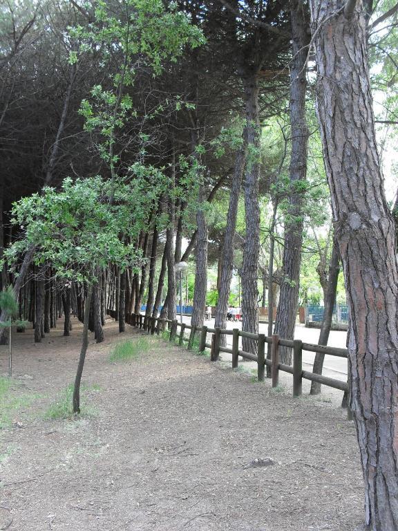Clift Cervia